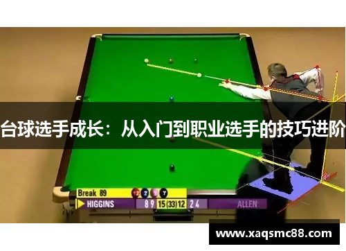 台球选手成长：从入门到职业选手的技巧进阶