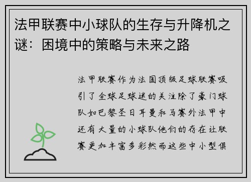 法甲联赛中小球队的生存与升降机之谜：困境中的策略与未来之路
