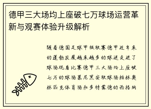 德甲三大场均上座破七万球场运营革新与观赛体验升级解析