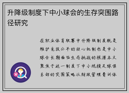 升降级制度下中小球会的生存突围路径研究